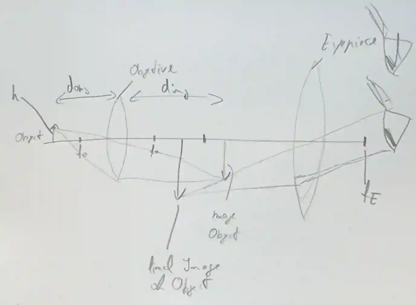 Neural Imaging-20250810121012165